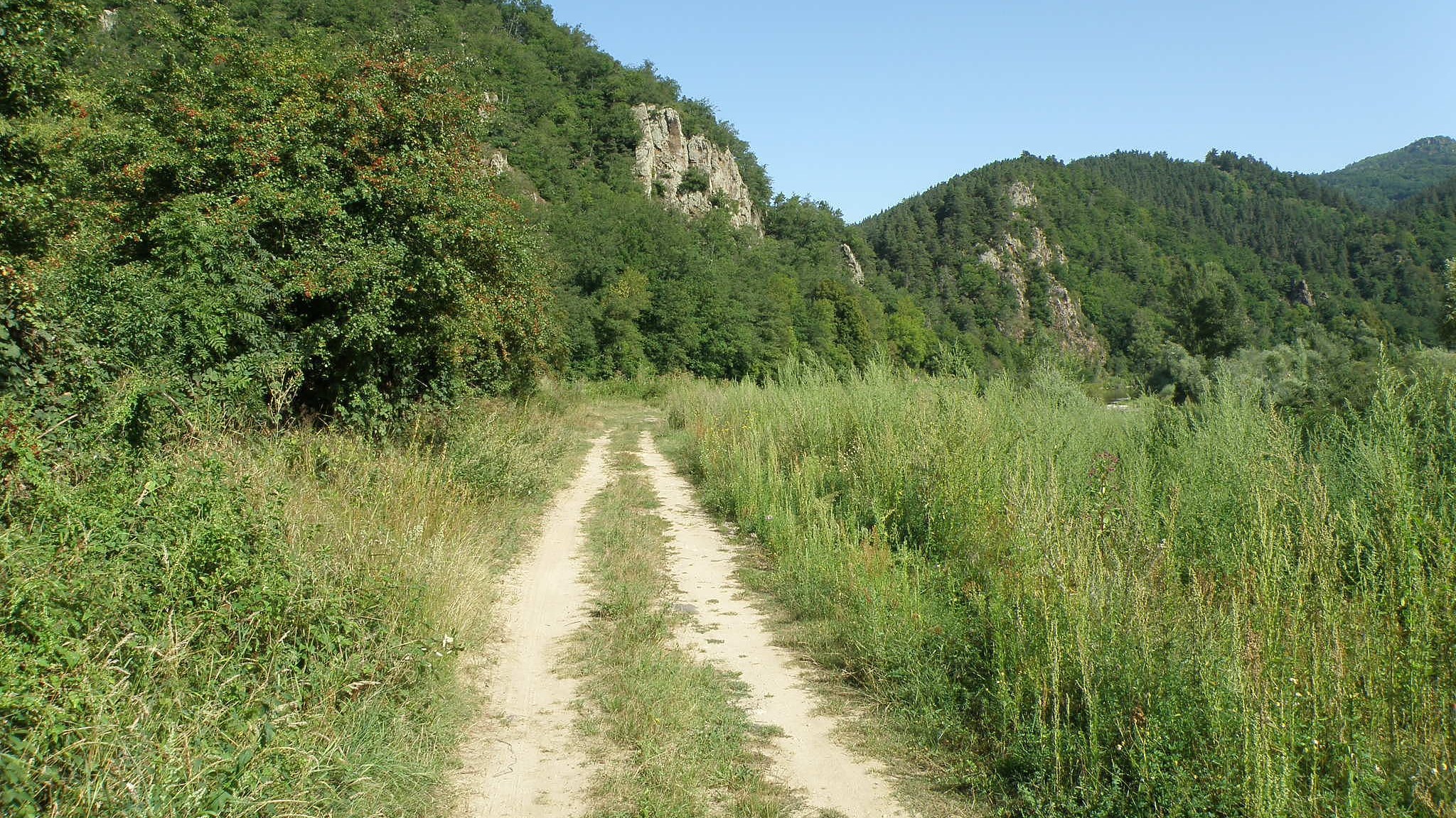 Un chemin de terre longe la Loire au milieu des collines boisées de la Haute-Loire, près de Retournac.