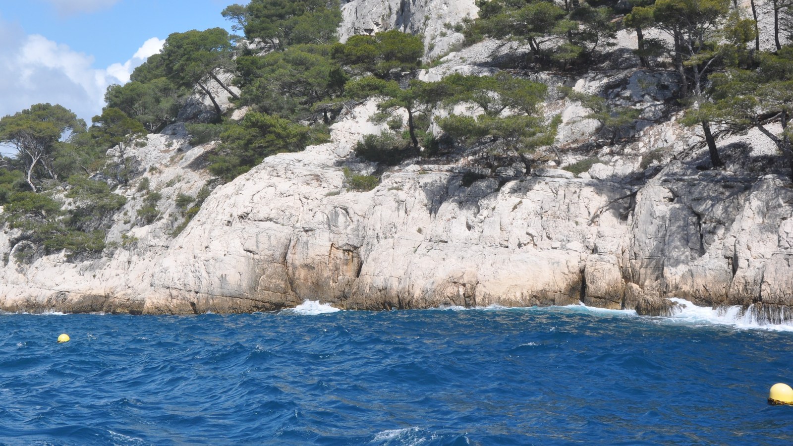 Falaises calcaires blanches et pins des calanques plongeant dans la mer Méditerranée, près de Marseille